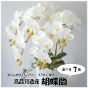 造花胡蝶蘭鉢植え 造花 フラワー 就任祝い 開店祝い お祝い ギフト プレゼント 鉢植え 開院 インテリア 花 誕生日 仏花 5本立ち 造花 送料無料 コチョウ...