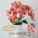 鉢植え胡蝶蘭 アーティフィシャルフラワー 造花 胡蝶蘭 お祝い ギフト プレゼント 開店祝い 開院祝い おしゃれ インテリア 誕生日 三本立ち胡蝶蘭 新築祝い ...