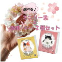 ミニリースと猫珈2箱セット コーヒー カフェインレスコーヒー デカフェコーヒー ドリップコーヒー 誕生日 猫アイテム 猫ギフト コーヒーギフト お歳暮 出産祝い ママ用 おしゃれ かわいい 詰め合わせ ギフト 誕生祝い プチギフト 珈琲 お中元