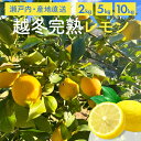 越冬完熟レモン 国産 瀬戸内産 特選品 皮も使える ノーワックス 防止 減農薬栽培 有機肥料 アレンユーレカ