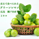 10月下旬以降順次発送【 生産量日本一 広島 瀬戸田 グリーン レモン 2キロ 】農薬残りなし オーガニック 瀬戸内 国産 しまなみ 広島レモン 国産レモン 檸...