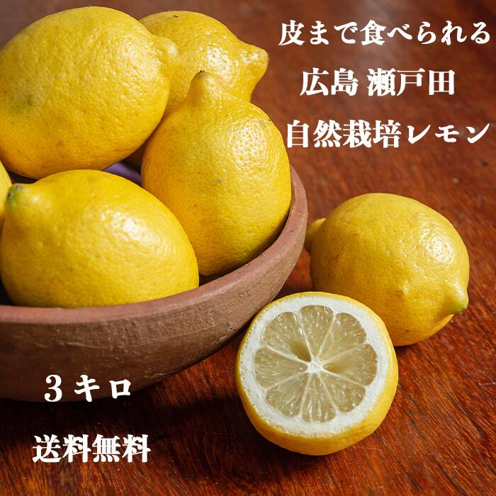 最終発送 【 広島 瀬戸田 レモン】 農薬残りなし 3キロ 瀬戸内 国産 しまなみ 広島レモン 国産レモン 瀬戸田レモン れもん 檸檬 lemon ノーワックス 防腐剤不使用 尾道 しまなみ 瀬戸内レモン 柑橘 送料無料 レモネード レモンサワー