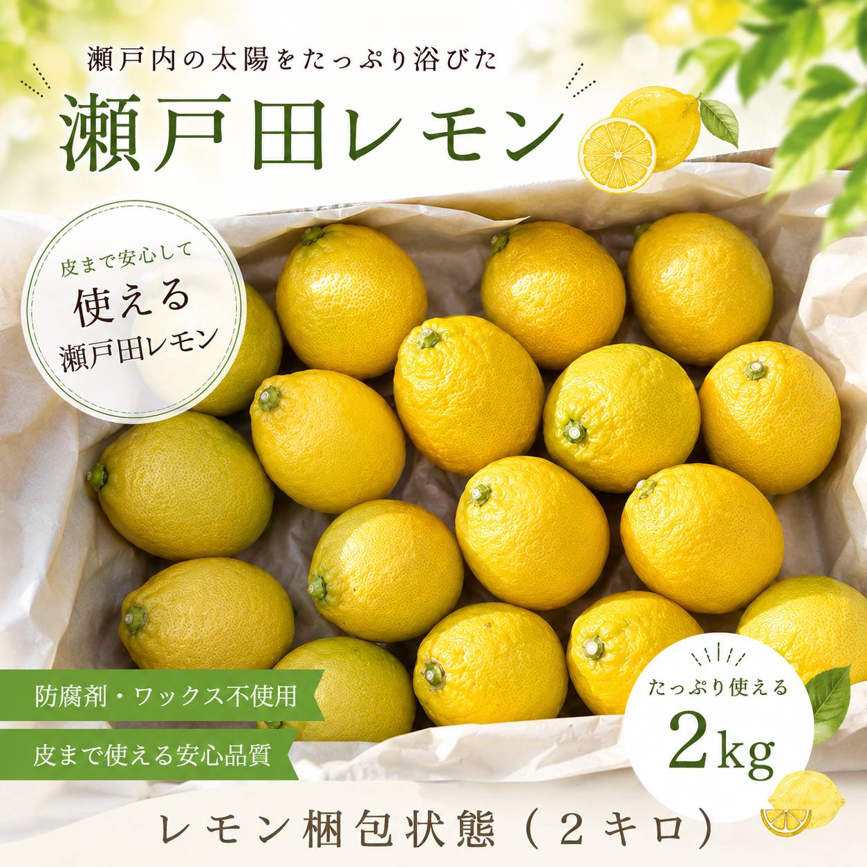 【 生産量日本一 広島 瀬戸田 ほぼグリーン レモン 2キロ 】農薬残りなし オーガニック 瀬戸内 国産 しまなみ 広島レモン 国産レモン 檸檬 lemon ノーワックス 防腐剤不使用 尾道 しまなみ 瀬戸内レモン 柑橘 レモネード レモンサワー setoutikankitu-10000001 瀬戸内かんきつ サンプル画像2