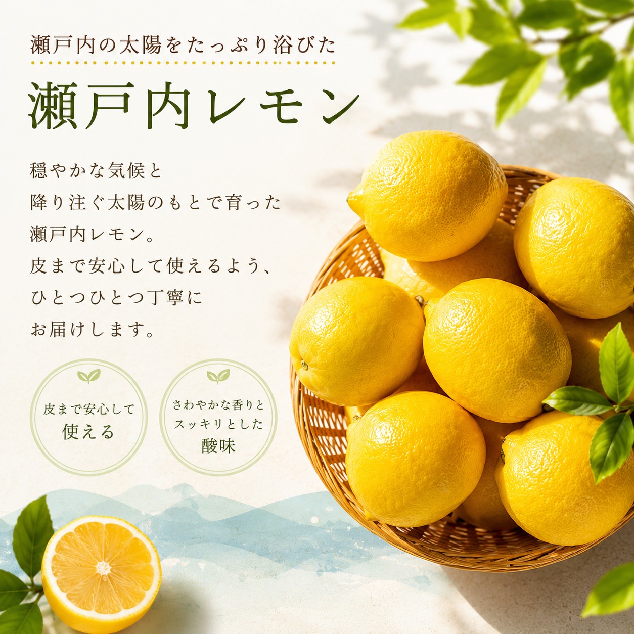 【 生産量日本一 広島 瀬戸田 ほぼグリーン レモン 2キロ 】農薬残りなし オーガニック 瀬戸内 国産 しまなみ 広島レモン 国産レモン 檸檬 lemon ノーワックス 防腐剤不使用 尾道 しまなみ 瀬戸内レモン 柑橘 レモネード レモンサワー setoutikankitu-10000001 瀬戸内かんきつ サンプル画像3