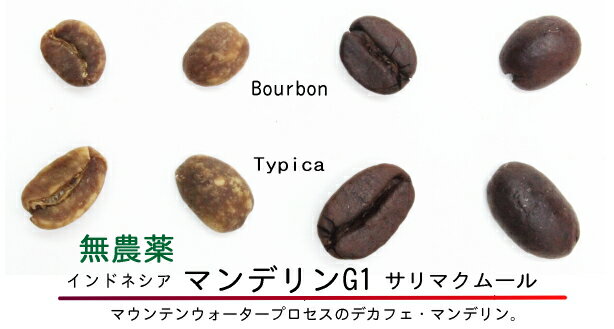 無農薬99.9％カフェインフリー・オーダーメイド　デカフェ　マンデリンG1サリマクムール　250g カフェインレスコーヒー ディカフェ　オーガニック生豆100％使用　液体二酸化炭素抽出法