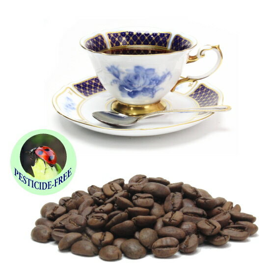 無農薬99.9％カフェインフリー　PF　ソフト　 500g（250g×2） 　カフェインレスコーヒー　 ノンカフェイン コーヒー　ディカフェ
