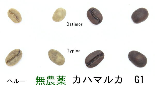無農薬99.9％カフェインフリー・オーダーメイド　デカフェ　ペルー　カハマルカ　G1 100g カフェインレスコーヒー スイスウォーター　オーガニック生豆100％使用 setoyaki-10001829 瀬戸焼珈琲 サンプル画像3
