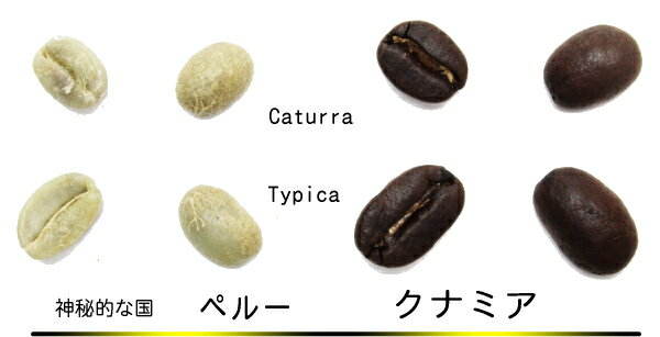 無農薬フルカフェイン・オーダーメイド ペルー ...の紹介画像2
