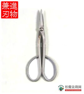 ߺ  ƻ ڳŷ1̡ۻ(ĥ)ΥߥߺϡߺϤˡ  ƥ쥹Ĥ 180mm No.827 bonsai ߺϤߡϥߡڤꤵĤ