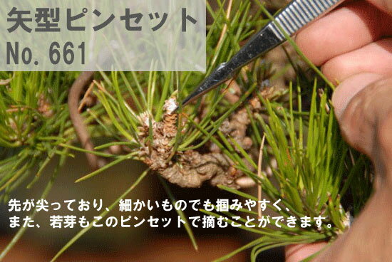 盆栽 道具 兼進 盆栽 ステンレス ピンセット 矢型 170mm No.661 bonsai松慶盆栽園