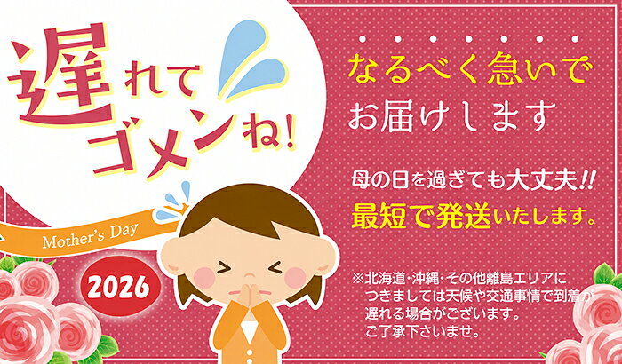 サンプル画像2