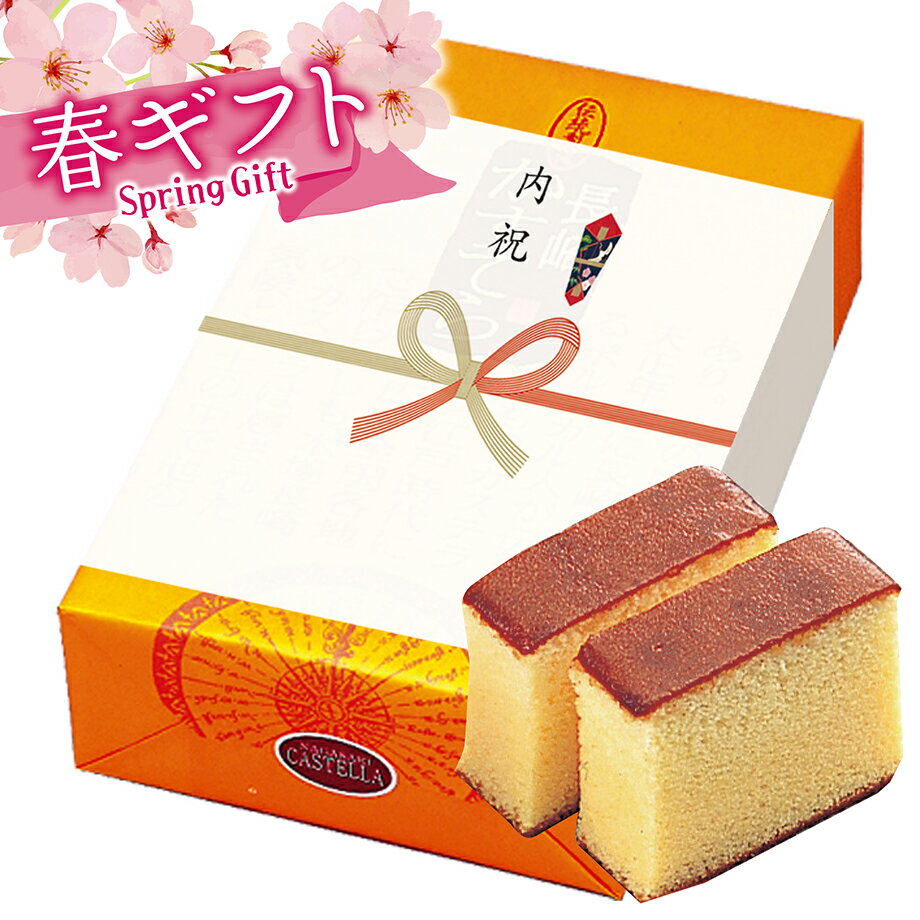 春ギフト 長崎カステラ 250g×2本入 送料無料 内祝い