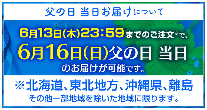 父の日 ギフト 長崎カステラ 300g×2本入 送料無料 3