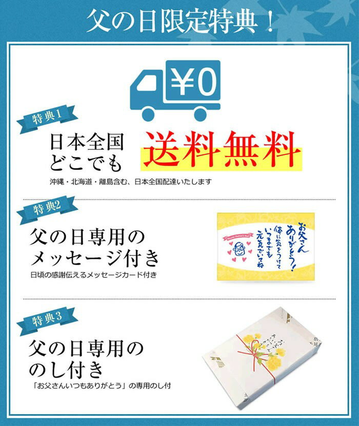 父の日 ギフト 長崎カステラ 300g×2本入 送料無料 2