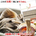 送料無料 島原手延べ黒ごまそうめん 1,000g（20束入） ギフト 島原素麺 長崎