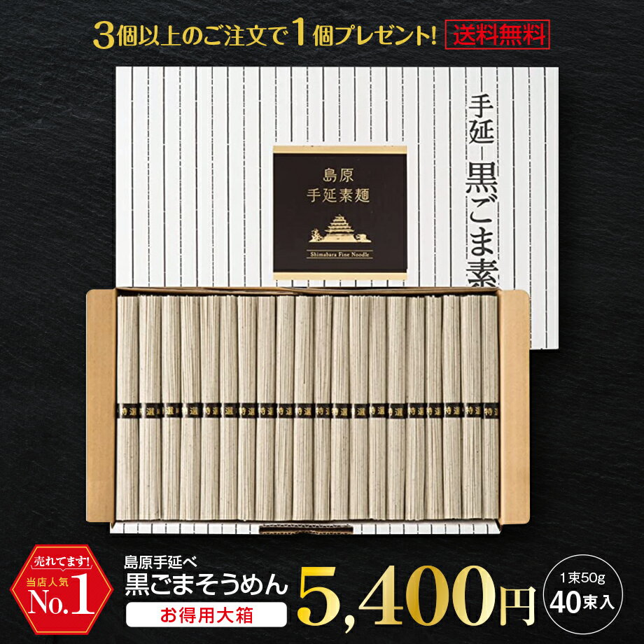 ギフト 内祝い 送料無料 島原手延べそうめん 黒ごまそうめん 40束入 (50g×40束) 珍しいもの 御供