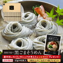 ギフト 内祝い 送料無料 島原手延べそうめん 黒ごまそうめん (46束木箱入り) 2023世界グルメガイド東京版、二星店の特選逸品提供! 珍しいもの 御供 暑中...