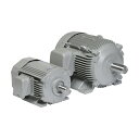 日立 三相モータ TFOA-LKK-15kW-6P-AC200V 全閉外扇 屋外仕様 脚取付 ブレーキ無し ザ・モートルNeo100 Premium(4)