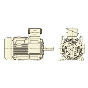 【在庫あり】 日立 三相モータ TFO-LKK-30kW-4P 全閉外扇 三相200/400V共用 30kW 屋内仕様 脚取付 ブレーキ無し