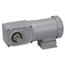 ニッセイ ギアモータ 同心中実軸 F3F18L20-MM02TWJNB4 0.2kW 三相400V 標準ブレーキ付(4)