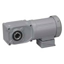 ニッセイ ギアモータ 同心中空軸 F3S30N160-MM02TWJNB4 0.2kW 三相400V 標準ブレーキ付(4)