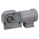 ニッセイ ギアモータ 中実軸 FF32L160-MM04TNNTB2 0.4kW 三相200V 標準ブレーキ付(4)