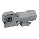 ニッセイ ギアモータ 中空軸 FS45N300-MM04CNJAN 0.4kW 単相100V 標準ブレーキ無(4)