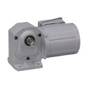 ニッセイ ギアモータ 直交軸 H2L22L80-MM01TWNTN 脚取付 0.1kW 三相400V 標準ブレーキ無(4)