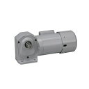 ニッセイ ギアモータ 直交軸 H2L32L300-MM02TWJNJ4 脚取付 0.2kW 三相400V ブレーキ手動解放装置付(4)