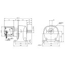 ニッセイ ギヤードモーター G3L32N900-MM01TWJNN 平行軸 脚取付 0.1kW 減速比1/900 ブレーキ無 軸炭素鋼(4)
