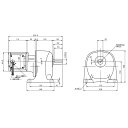 ニッセイ ギヤードモーター G3L32N12X-MM01TNNNN 平行軸 脚取付 0.1kW 減速比1/1200 ブレーキ無 軸炭素鋼