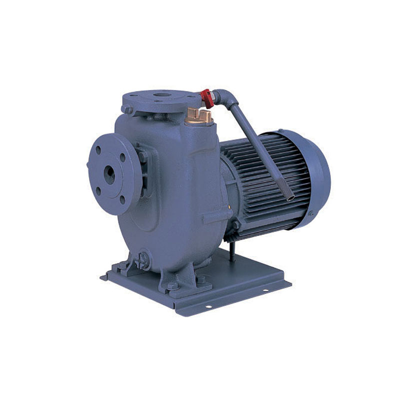 荏原 ポンプ エバラ 50FQD52.2B 50Hz 陸上ポンプ 自吸ポンプ FQD型