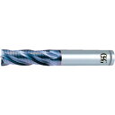 OSG VコートXPMラフィング VP-RENF-10 ミディアム ファインピッチ 4刃 刃径10mm 刃長32mm 全長100mm 8456610 1本