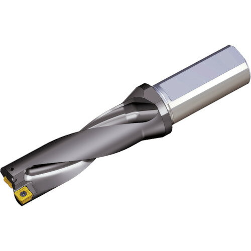 TAEGUTEC 刃先交換式ドリルホルダー TOP 3170-25T2-06 トップドリル