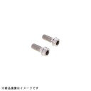 DAYTONA デイトナ47993キャリパーマウントボルトM10×20 P1.25