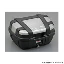 DAYTONA デイトナ77431TRK52N (ストップランプ無シ)