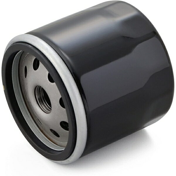 デイトナ DAYTONA21041リプレイス オイルフィルター ドゥカティ系 モンスター400(00-08) 等