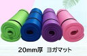 厚手 ヨガマット 20mm 滑り止め ストレッチ シート ラグ ヨガ 収納ケース付 トレーニング エクササイズ ホットヨガ 筋トレ 運動 ダイエット器具 el-yogam20(4)
