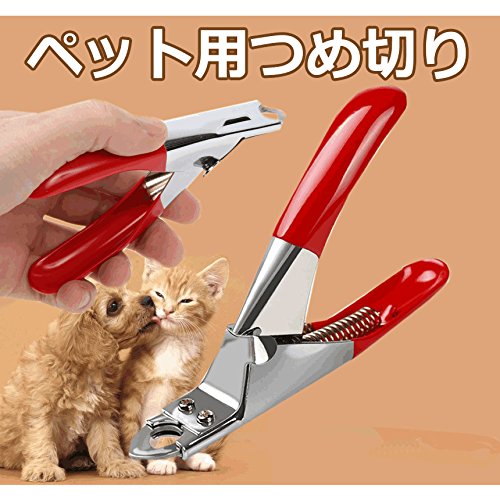 �ڥå��� �Ĥ��ڤ� �ͥ��� �ȥ�ޡ� ���ڤ� ǭ �� �� TEC-PETTUMED