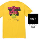 ハフ Tシャツ HUF 420 COLLECTION GREEN BUDDY OPPOSITE OF LOW S/S TEE TS01606 Golden Yellow グリーンバディ 半袖Tシャツ プリントTシャツ スケート スケボー スケーター SB 緑