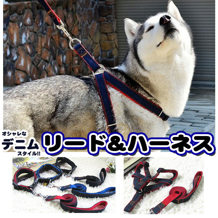 犬 猫 ハーネス リード ペット デニム 胸あて ベスト 胴輪 キャット ドッグ メッシュ h0160