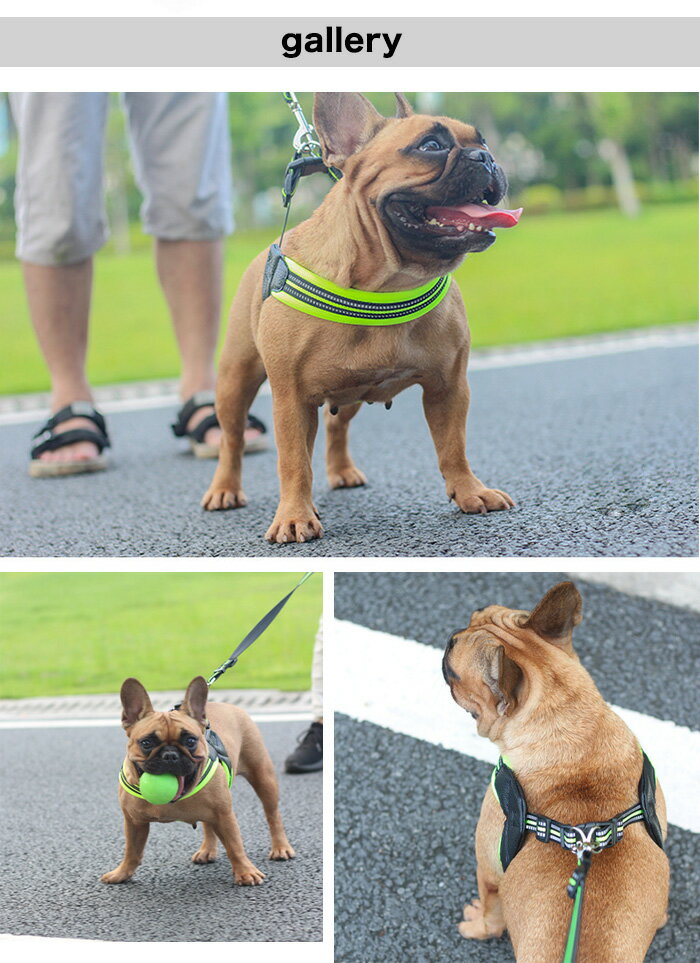 送料無料 犬用ハーネス 小型犬 中型犬 かっこいい 服 ステップハーネス ウェアハーネス 犬 ハーネス リード 付 ドッグウェア 反射 ふっくら生地 今月限定 特別大特価 キャット 胴輪 大型犬 ベスト メッシュ ペット ドッグ H0258
