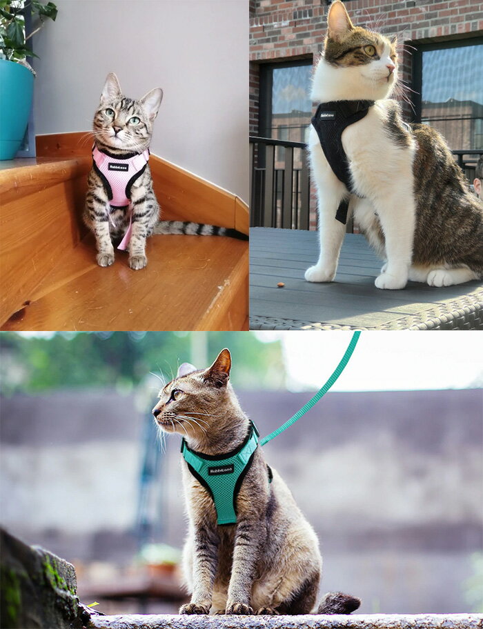 猫犬ハーネスペット服フルカバーウェアハーネス胴輪キャットドッグメッシュh0293