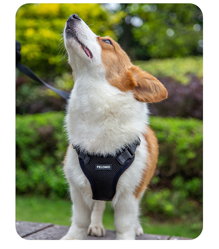 猫犬ハーネスペット服フルカバーウェアハーネス胴輪キャットドッグメッシュh0293