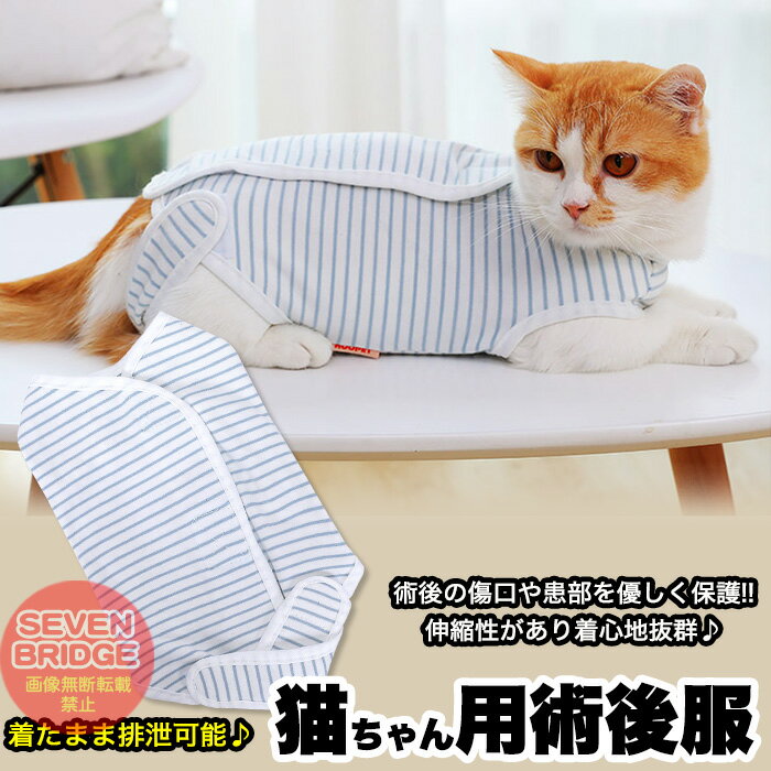 猫 術後服 術後ウェア ボーダー 服 傷 舐めない 傷口保護 ペット用品 ペット服 エリザベスカラー h0346