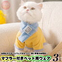 猫 犬 服 マフラー & ウェア セット ペット ドッグ ドッグウェア ペットウェア 小型犬 中型犬 春 夏 秋 冬 h0457