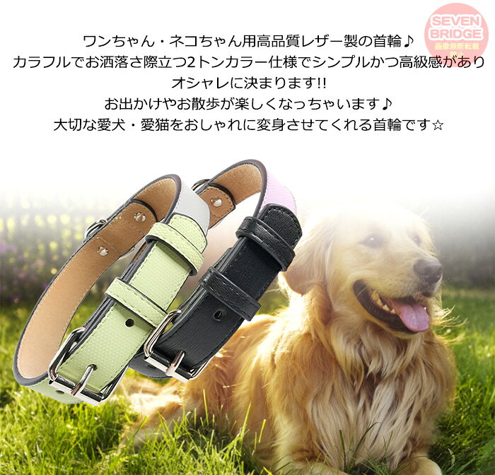犬 猫 首輪 カラフル ツートンカラー レザー ペット キャット ドッグ ペットグッズ 小型犬 中型犬 大型犬 h0474