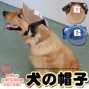 犬 帽子 猫 ドッグ キャップ G ペット ワンタッチ バックル ハット 犬の帽子 h0479