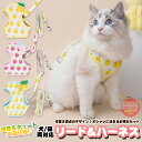 猫 犬 ハーネス リード ペット 服 フルーツ ウェアハーネス 胴輪 キャット ドッグ メッシュ h0501