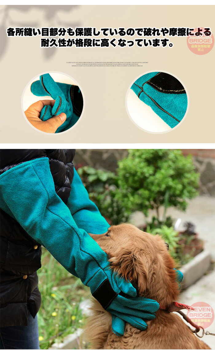 �� ǭ ���� ���� 2�� �ڥåȥ������� ���ߤĤ��ɻ� �Ҥä������ɻ� 60cm ���� ���� �������� ��Ǯ�� ��Ǯ�������� ���� ���� ���ä��� ������ h0528